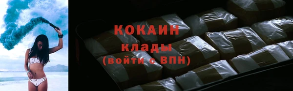 тгк Лиски