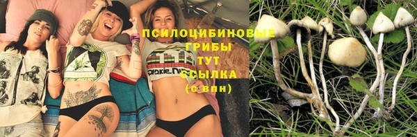 тгк Лиски