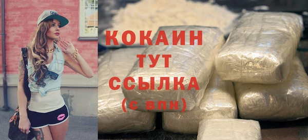 тгк Лиски