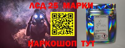 ПСИЛОЦИБИНОВЫЕ ГРИБЫ Кингисепп