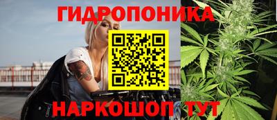 ПСИЛОЦИБИНОВЫЕ ГРИБЫ Кингисепп