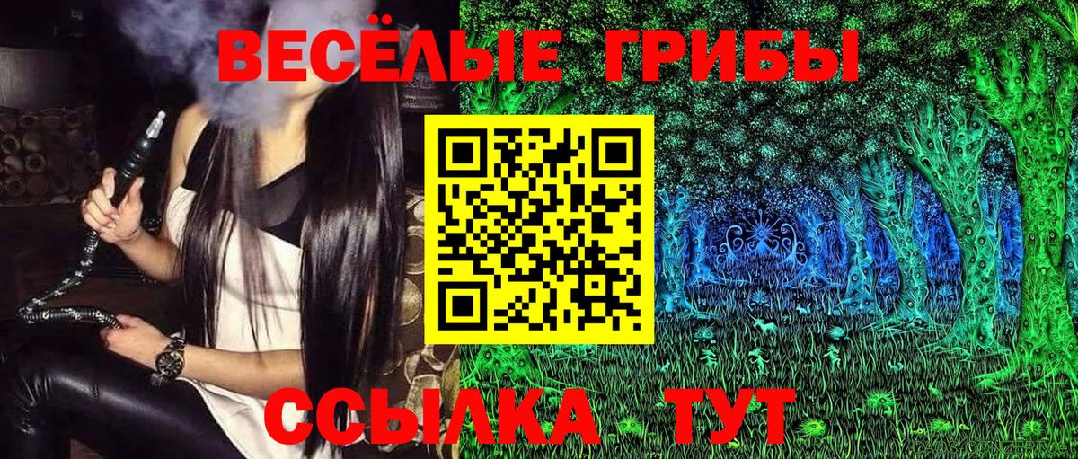 Псилоцибиновые грибы Cubensis Тамбов