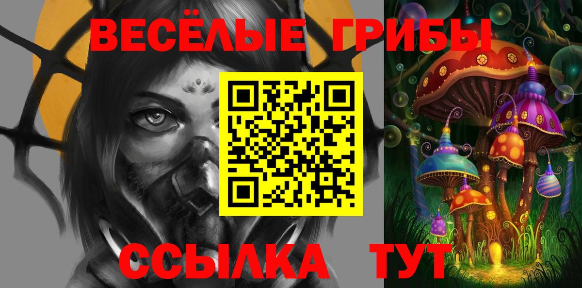 Галлюциногенные грибы GOLDEN TEACHER  где купить наркоту  Тамбов  Вход с VPN 