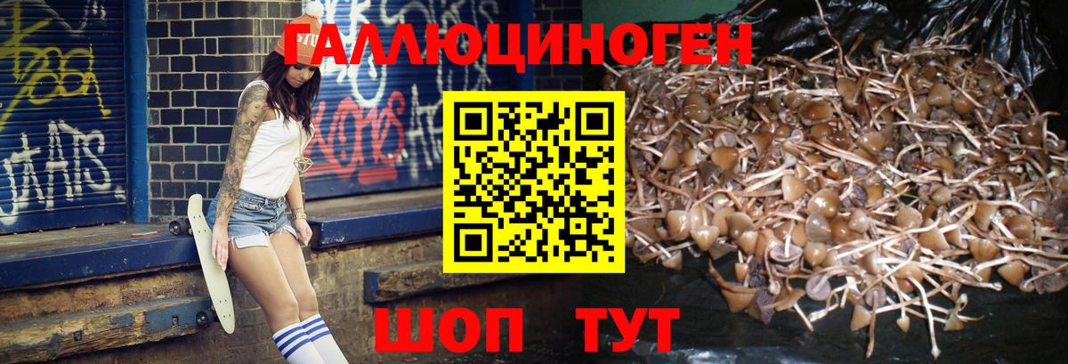 APVP Тамбов